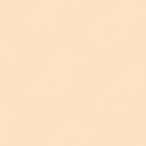 کورِتاکه : مارکرهای دو سر پایه آب زیگ : Natural Beige