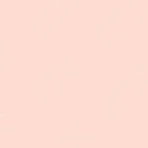 کورِتاکه : مارکرهای دو سر پایه آب زیگ : Pale Blush