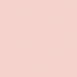 کورِتاکه : مارکرهای دو سر پایه آب زیگ : Pale Pink
