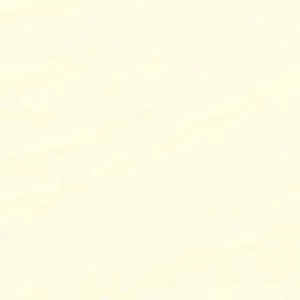 لاسکو: اکریلیک استودیو : Shell White