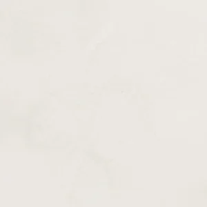 لوکاس: آبرنگ ۱۸۶۲ : Permanent Chinese White
