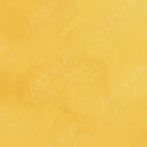 مایکل هاردینگ: آبرنگ آرتیست : Cadmium Golden Yellow
