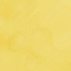 مایکل هاردینگ: آبرنگ آرتیست : Hansa Yellow Medium