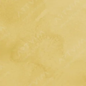 مایکل هاردینگ: آبرنگ آرتیست : Ochre Icles Lemon