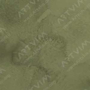 مایکل هاردینگ: آبرنگ آرتیست : Olive Green