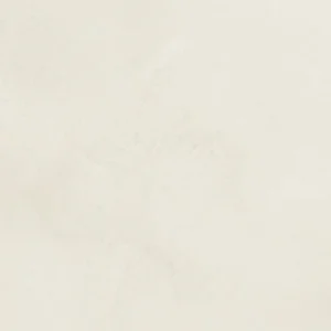 هولبین : آبرنگ شین گانسای : White