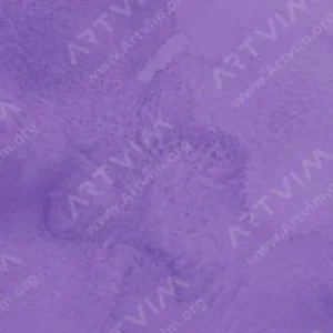 هولبین : آبرنگ گرانول : Clematis Violet