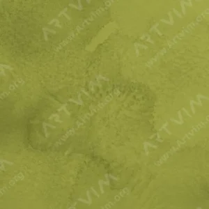 هولبین : آبرنگ گرانول : JP Bush Warbler Green