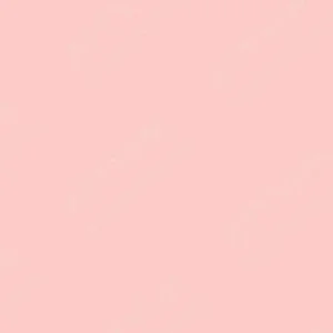 هولبین : پاستل روغنی آرتیست : Antique Rose