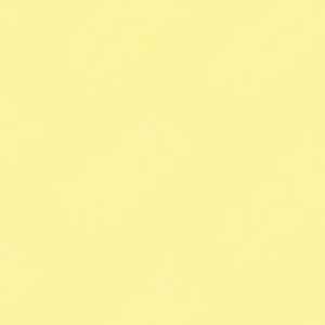 هولبین : پاستل روغنی آرتیست : Cream Yellow