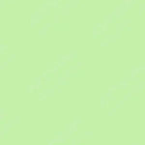 هولبین : پاستل روغنی آرتیست : Mint Green