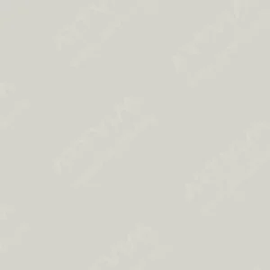 هولبین : پاستل روغنی آرتیست : Neutral Grey 2