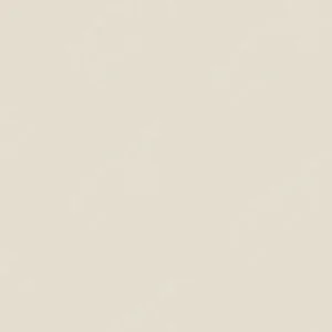 هولبین : پاستل روغنی آرتیست : Warm Grey 1
