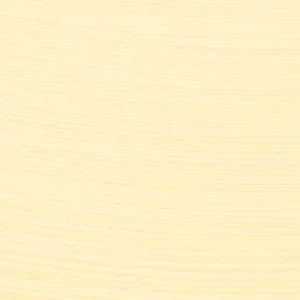 هولبین : رنگ روغن آرتیست : Ivory White