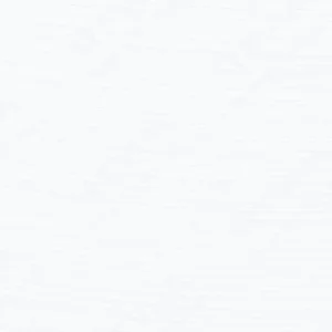 هولبین : رنگ روغن آرتیست : Neo Zinc White SF