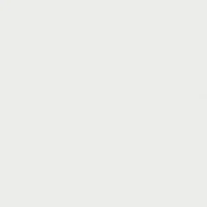 هولبین : گواش آرتیست : Gofun/White