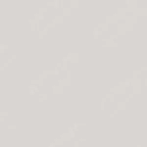 هولبین : گواش-اکریلیک : Neutral Grey #1