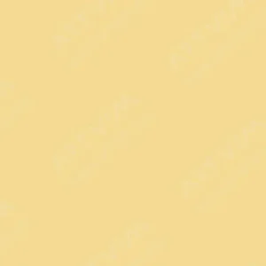 هولبین : مداد آبرنگی : Naples Yellow