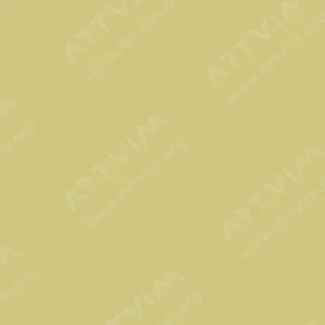 هولبین : مداد آبرنگی : Olive Green
