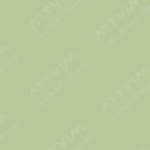هولبین : مداد آبرنگی : Terre Verte