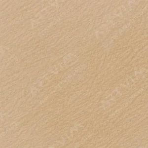 هولبین : مدادرنگی آرتیست : Beige