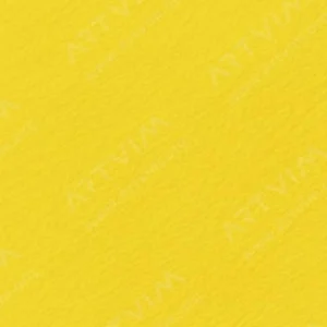 هولبین : مدادرنگی آرتیست : Canary Yellow