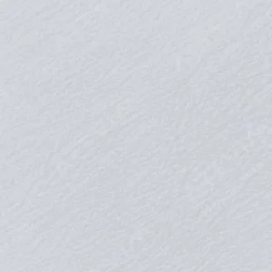 هولبین : مدادرنگی آرتیست : Cool Grey #1