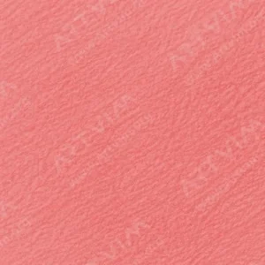 هولبین : مدادرنگی آرتیست : Coral