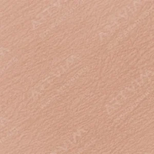 هولبین : مدادرنگی آرتیست : Cork