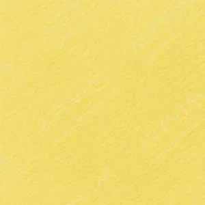 هولبین : مدادرنگی آرتیست : Cream