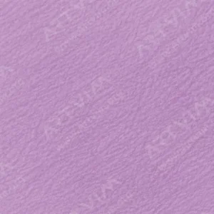هولبین : مدادرنگی آرتیست : Fuchsia
