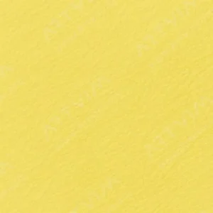 هولبین : مدادرنگی آرتیست : Lemon