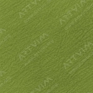 هولبین : مدادرنگی آرتیست : Moss Green