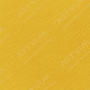 هولبین : مدادرنگی آرتیست : Mustard