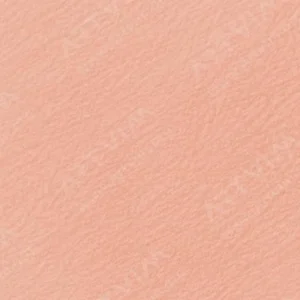 هولبین : مدادرنگی آرتیست : Peach