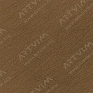 هولبین : مدادرنگی آرتیست : Raw Umber