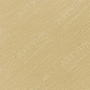 هولبین : مدادرنگی آرتیست : Sand
