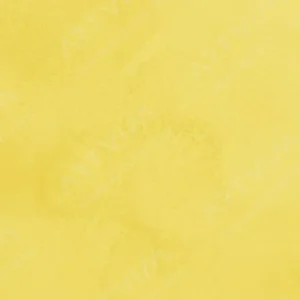 وینزور و نیوتن : آبرنگ حرفه‌ای : Cadmium-Free Lemon