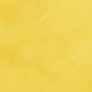 وینزور و نیوتن : آبرنگ حرفه‌ای : Cadmium-Free Yellow Pale